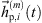 $ {\vec{h}}_{\mathrm{p},i}^{(m)}(t)$