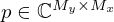 $ p \in {\mathbb {C}}^{M_y\times M_x} $