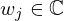 $ w_j \in {\mathbb {C}} $