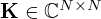 $ {{\mathbf {K}}} \in {\mathbb {C}}^{N\times N} $