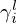 $ \gamma _i^l $
