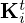 $ {{\mathbf {K}}}_i^t $