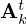 $ {{\mathbf {A}}}^t_k $