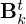 $ {{\mathbf {B}}}^t_k $