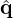 $ {\hat {{{\mathbf {q}}}}} $