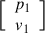 Mathematical equation: $ {\Big[} \begin{array}{c} {p_1} \\ {v_1} \end{array} {\Big]} $
