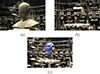 Thumbnail: Figure 2. Refer to the following caption and surrounding text.