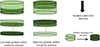 Thumbnail: Figure 1. Refer to the following caption and surrounding text.