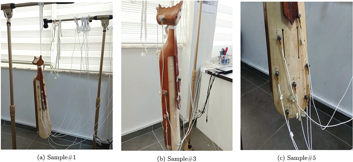 Figure 3. Refer to the following caption and surrounding text.