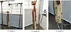 Thumbnail: Figure 3. Refer to the following caption and surrounding text.