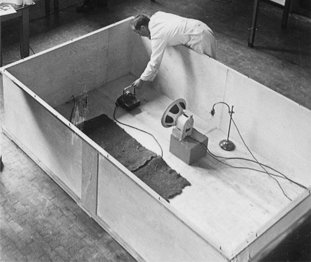 Figure 6. Refer to the following caption and surrounding text.