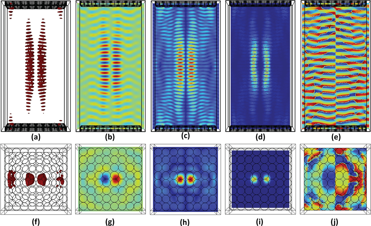 Figure 6. Refer to the following caption and surrounding text.