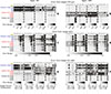 Thumbnail: Figure 21. Refer to the following caption and surrounding text.