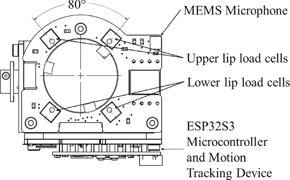 Figure 3. Refer to the following caption and surrounding text.