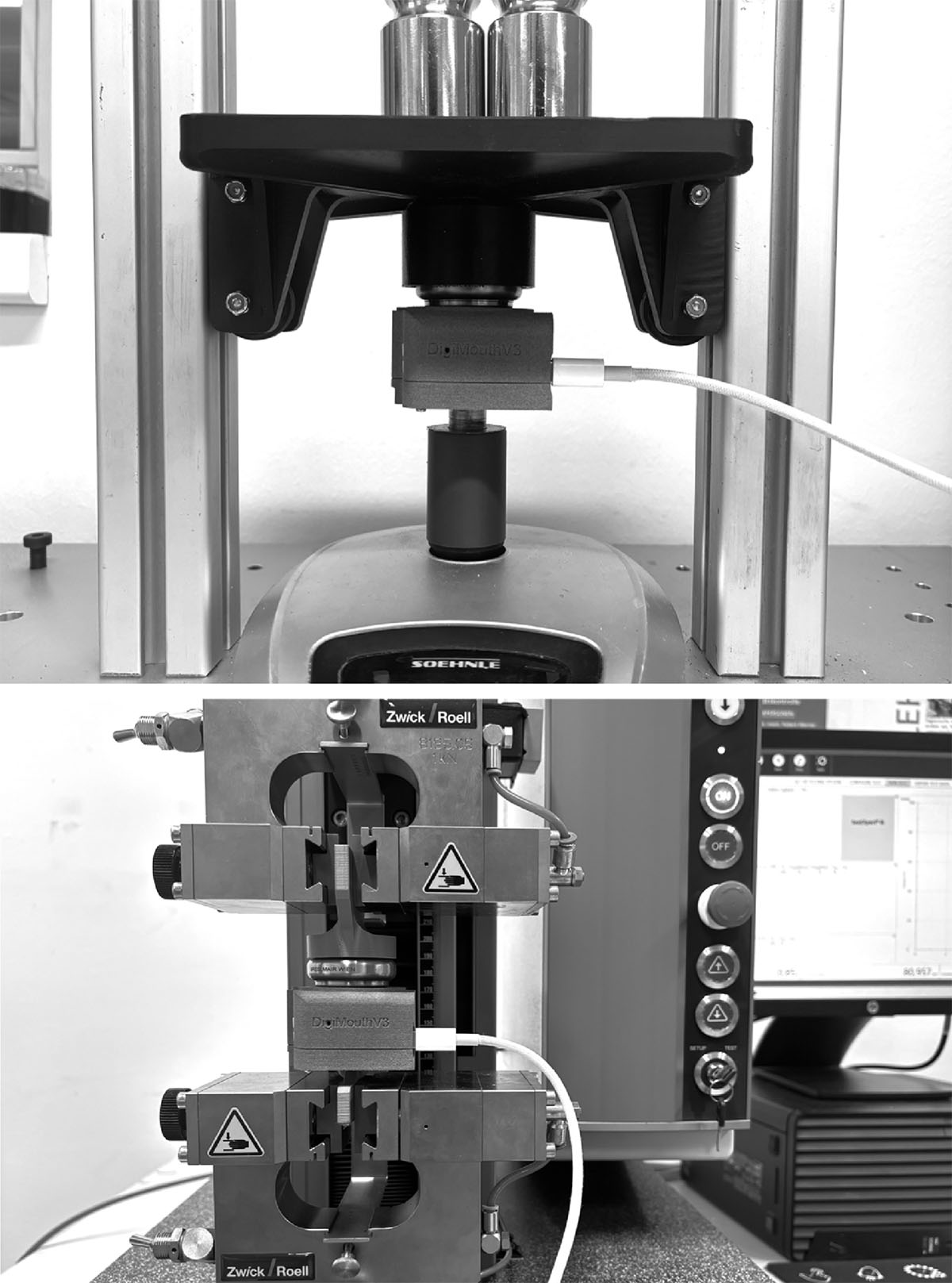 Figure 4. Refer to the following caption and surrounding text.