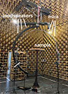Thumbnail: Figure 1. Refer to the following caption and surrounding text.