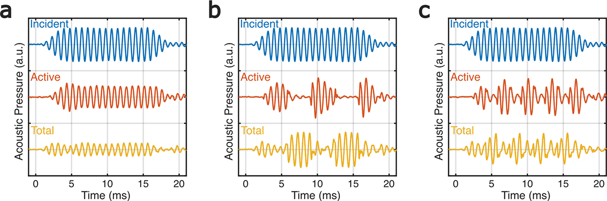 Figure 3. Refer to the following caption and surrounding text.