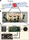 Thumbnail: Figure 4. Refer to the following caption and surrounding text.