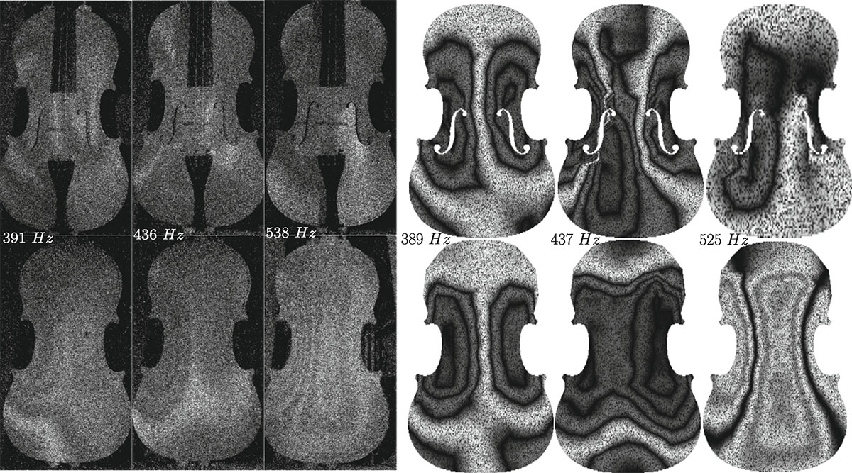 Figure 6. Refer to the following caption and surrounding text.