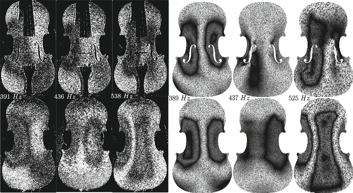 Figure 7. Refer to the following caption and surrounding text.