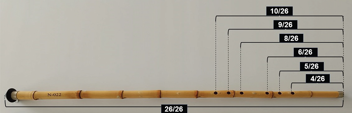 Figure 1. Refer to the following caption and surrounding text.