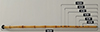 Thumbnail: Figure 1. Refer to the following caption and surrounding text.