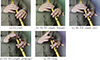 Thumbnail: Figure 3. Refer to the following caption and surrounding text.