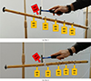 Thumbnail: Figure 5. Refer to the following caption and surrounding text.
