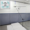 Thumbnail: Figure 5. Refer to the following caption and surrounding text.