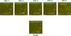 Thumbnail: Figure B.1. Refer to the following caption and surrounding text.